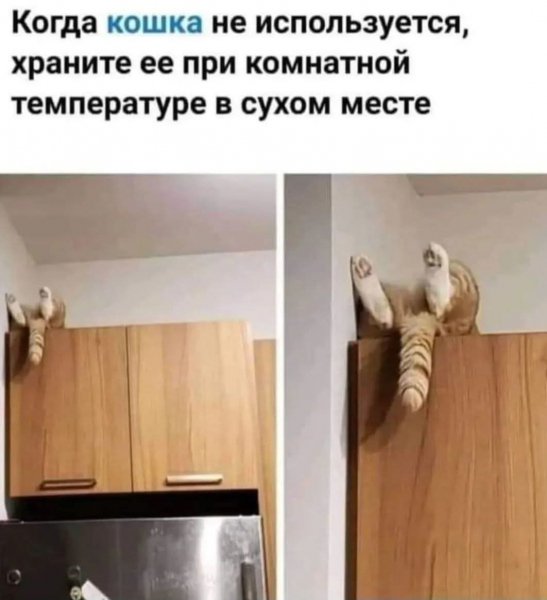 FB IMG 1778784286789