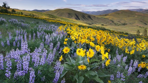 Lock2025-b54 wl methowvalleywashington 1920x1080