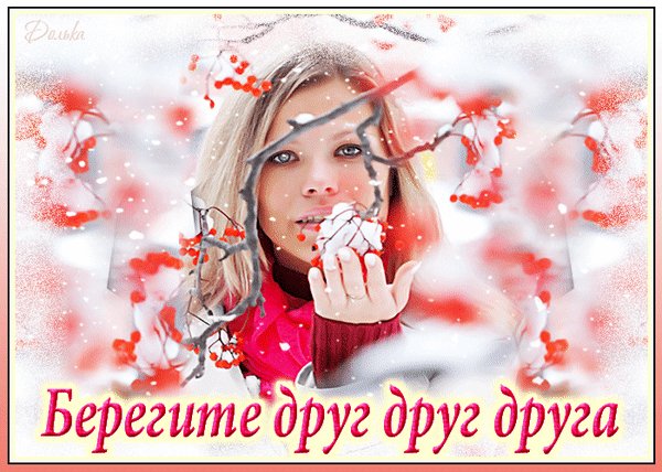 анимированная открытка любите и будьте