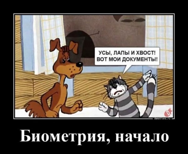 file_100424091