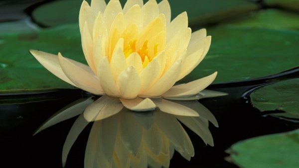 Image (5)