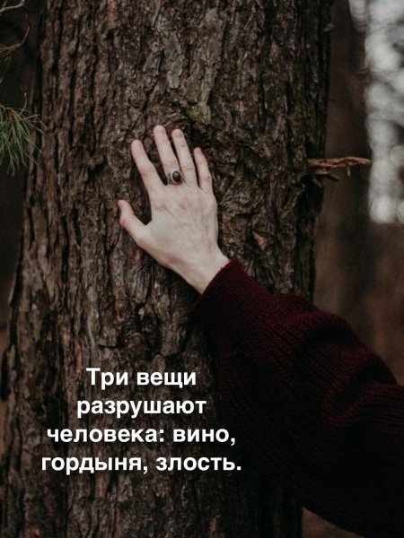 IMG 20250703 004530