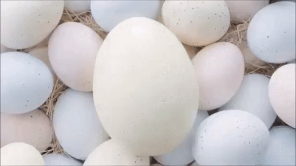 gif 1500192209