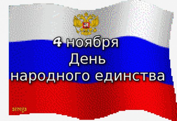 IMG 20151103 165409 0