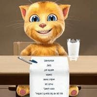 Talking Ginger write a letter Santa