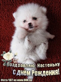 Настя с днём рождения