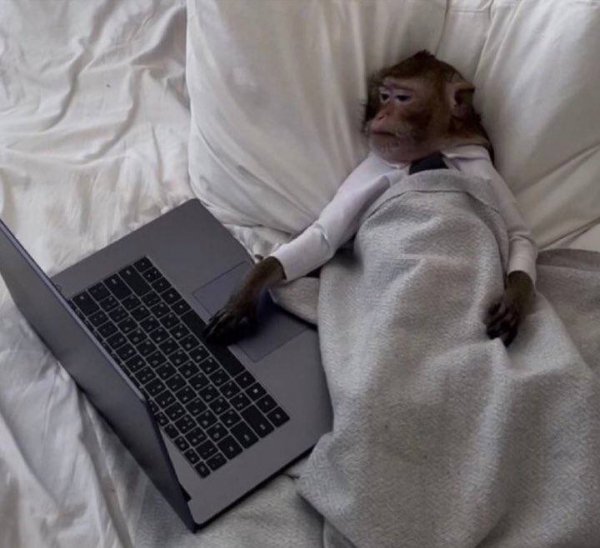 IMG 20241023 143110 129