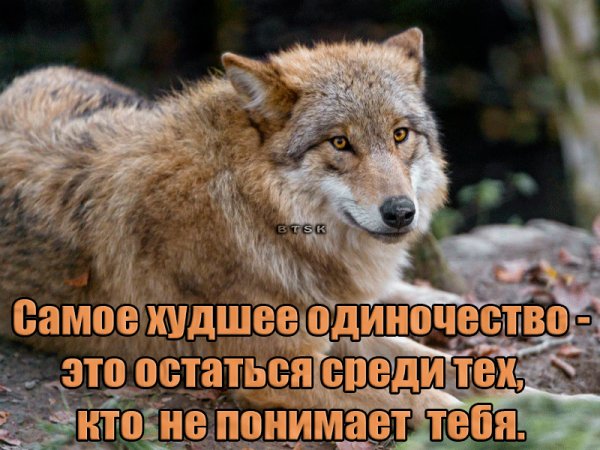 IMG 20190720 211724