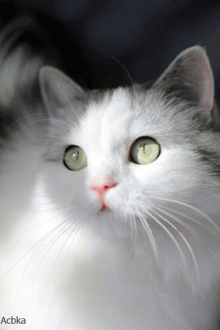 file_75527628