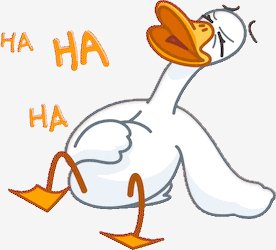 d04a490a4f6f154eba58c4e3