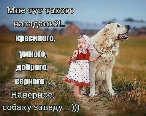 IMG 20171001 152917 0