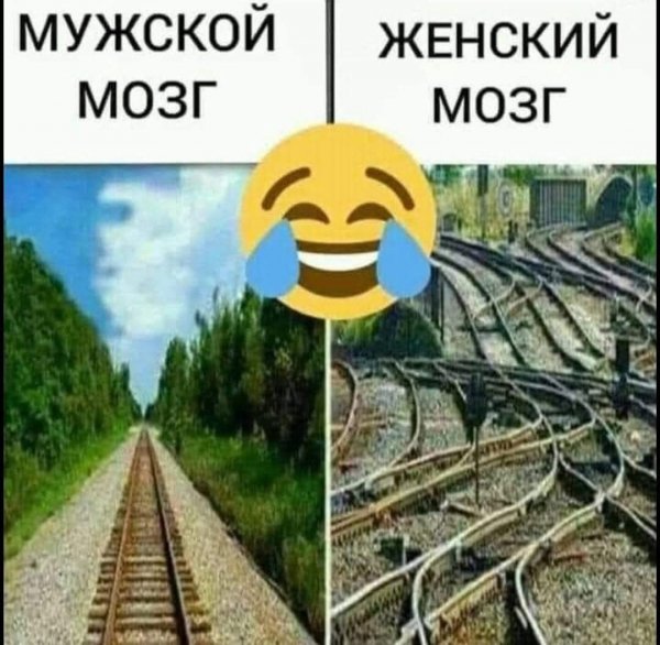 FB IMG 1779123323083