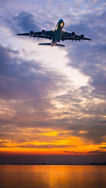 file_92446960