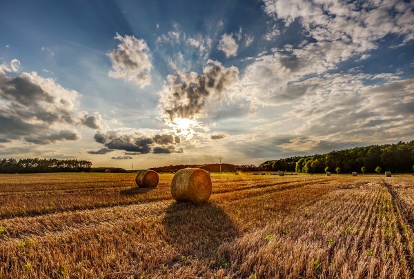 Pole-seno-stoga-nebo-solnce