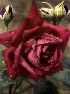 file_68720743