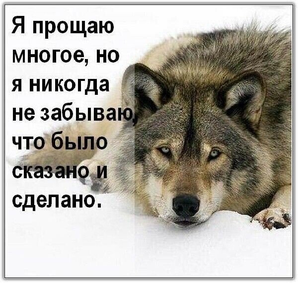 IMG 20250603 203157
