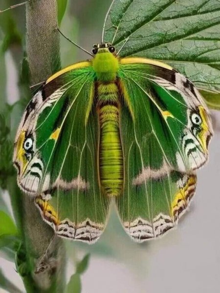 FB IMG 1715825742733