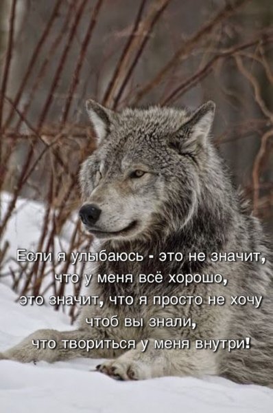 Улыбка