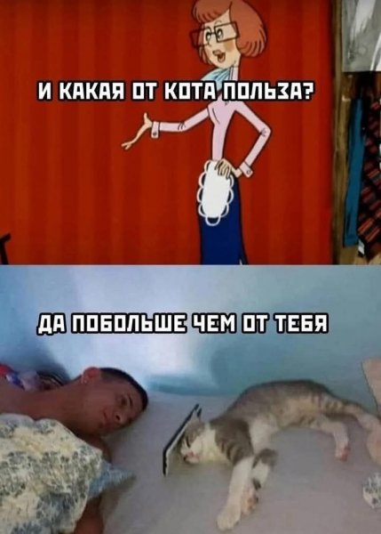 FB IMG 1734199006800