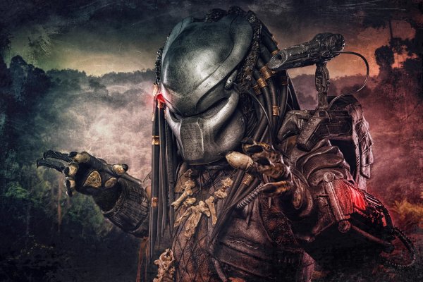 Predator Aliens 438431