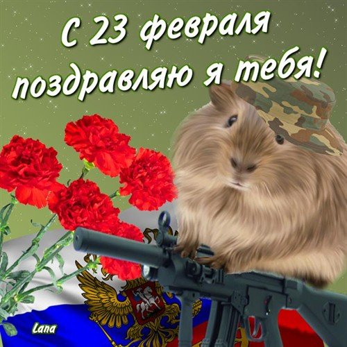 file_27941131