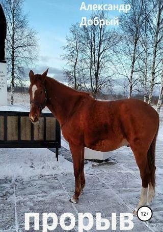 Александр Добрый-Прорыв