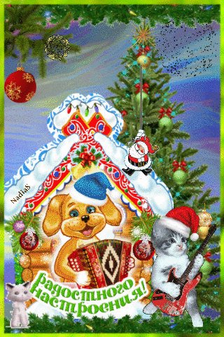 file_71686444