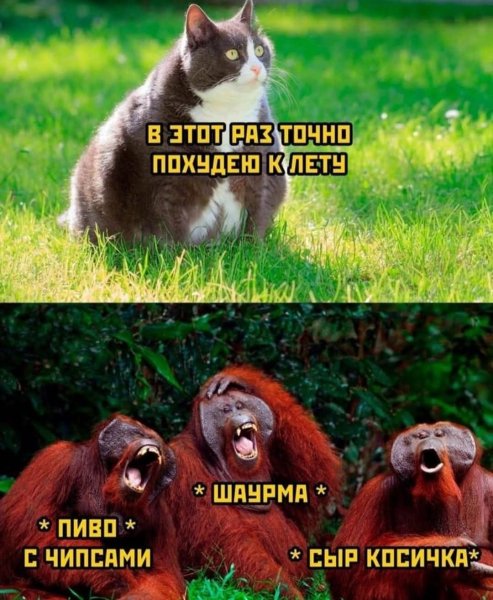 FB IMG 1778007349914