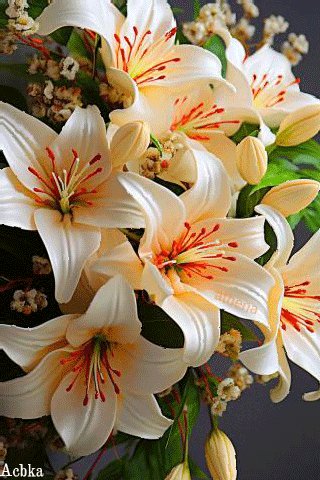 file_97131830