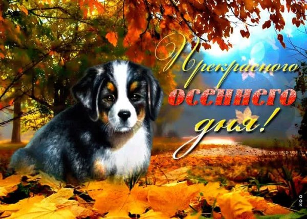 IMG-20231014-WA0046