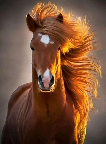getImage011