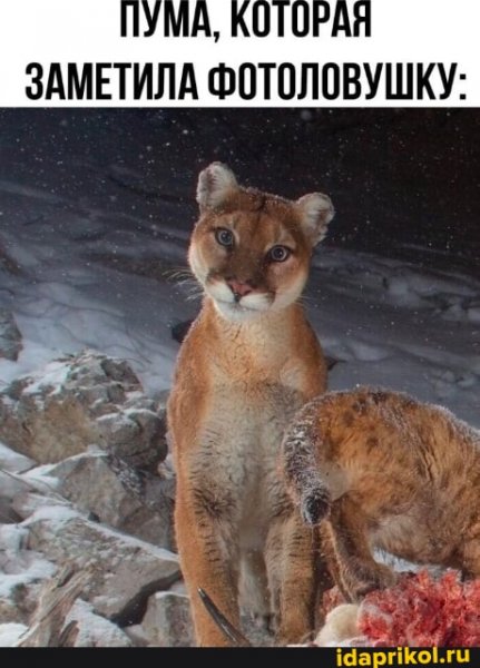 a911d15abc4d39231a06414521c273f8b27afb3971df9fab9 1