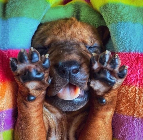 OKNHHYGCFSEETXCGOZUNJ