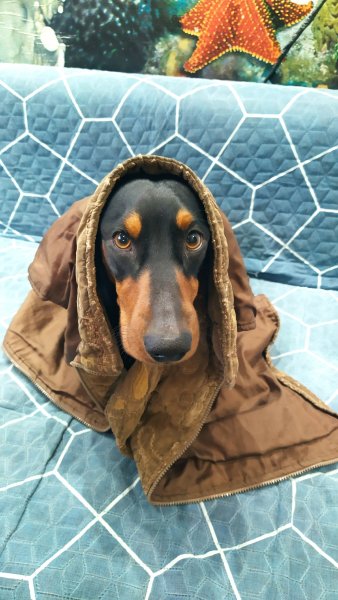 DKJGFSXVNKNCDFG3AA0Q8E