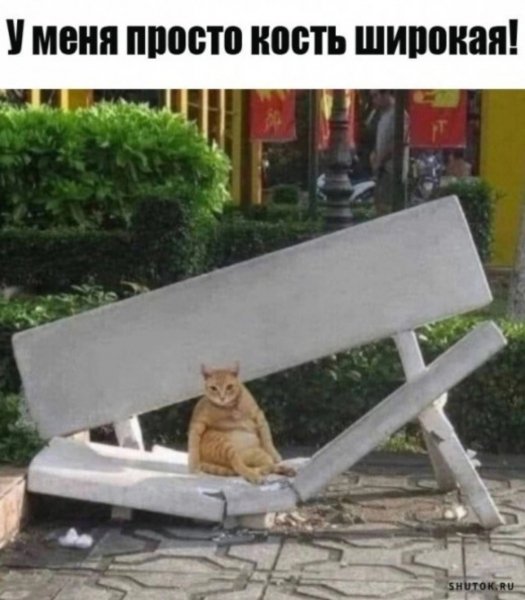 Кость широкая