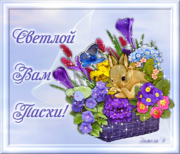 file_84183236