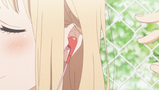 yuri 104