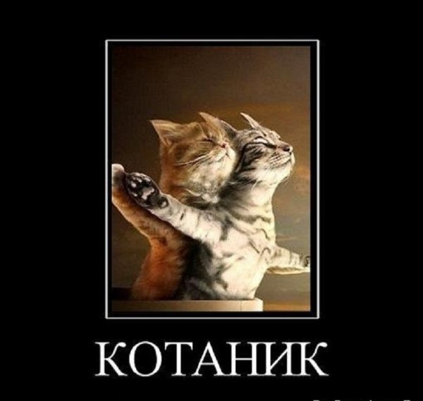 Котаник