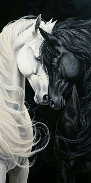 c9ca40cf088b49d9d99da00c1cc2b