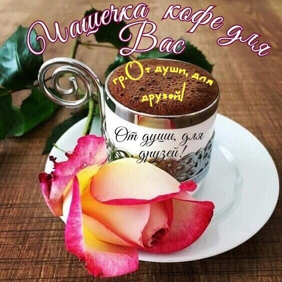 qD0IjRMqKtM
