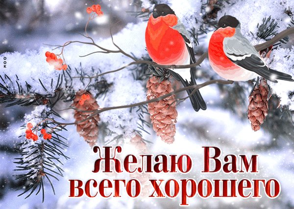 Анимированная открытка прекрасного денёчка