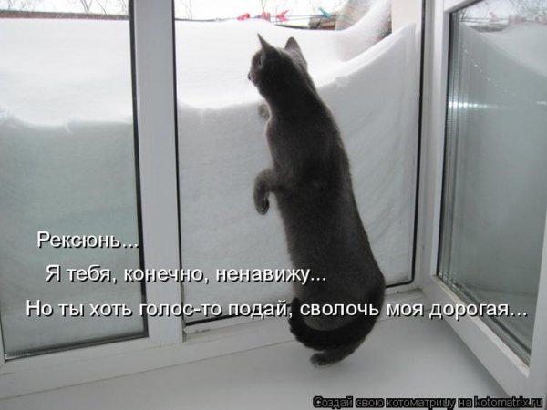file_84514644