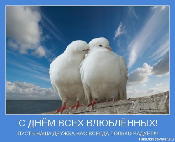 С днём всех влюбленных!