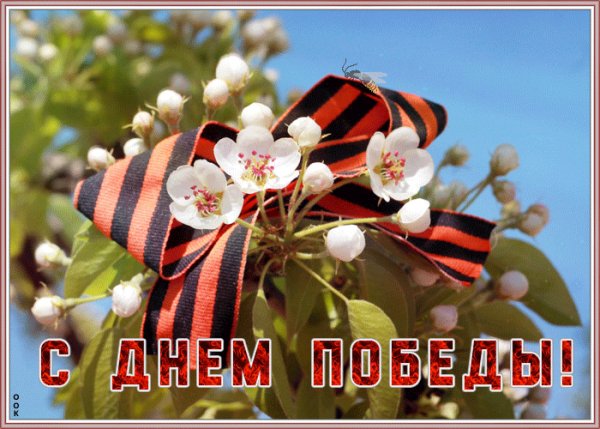 file_93531582