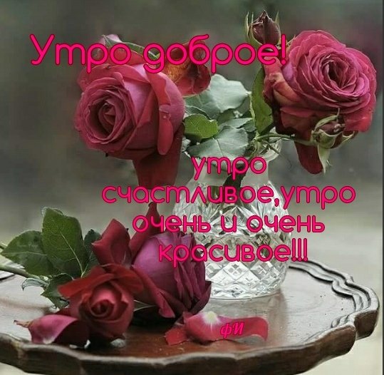 -OEbZErfhG8