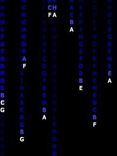 blue matrix