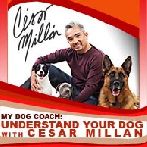my-dog-coach-240x320