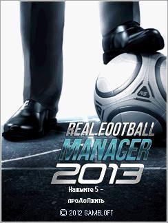 (Рус) Real Football Manager 2013 W810i