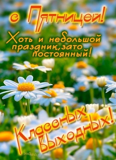file_93932198