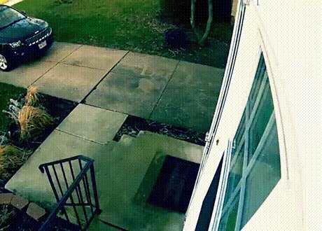 d107efcc6092e39c0c8a1741c1b932d096de65e054d02742e6899b90124a8